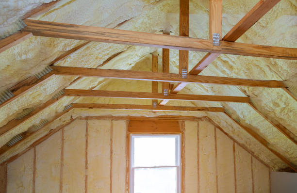 Best Attic Insulation Installation  in Campbell, FL