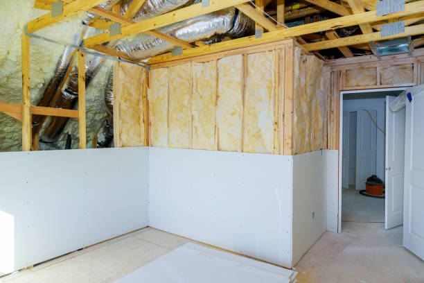 Best Insulation Replacement Services  in Campbell, FL